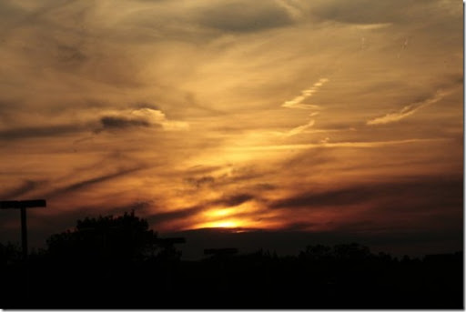 Wilber's soccer game 055