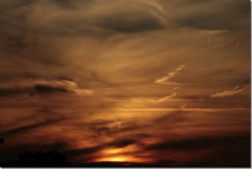 Wilber's soccer game 056