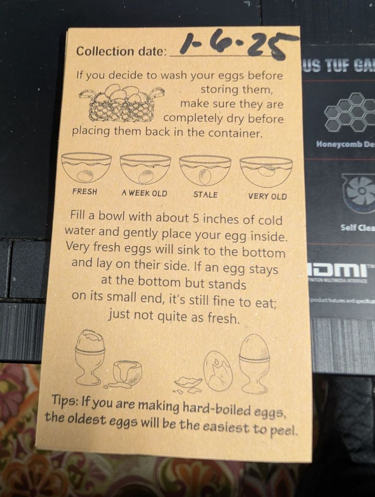 pxl_20250109_2243279027168473044941783915