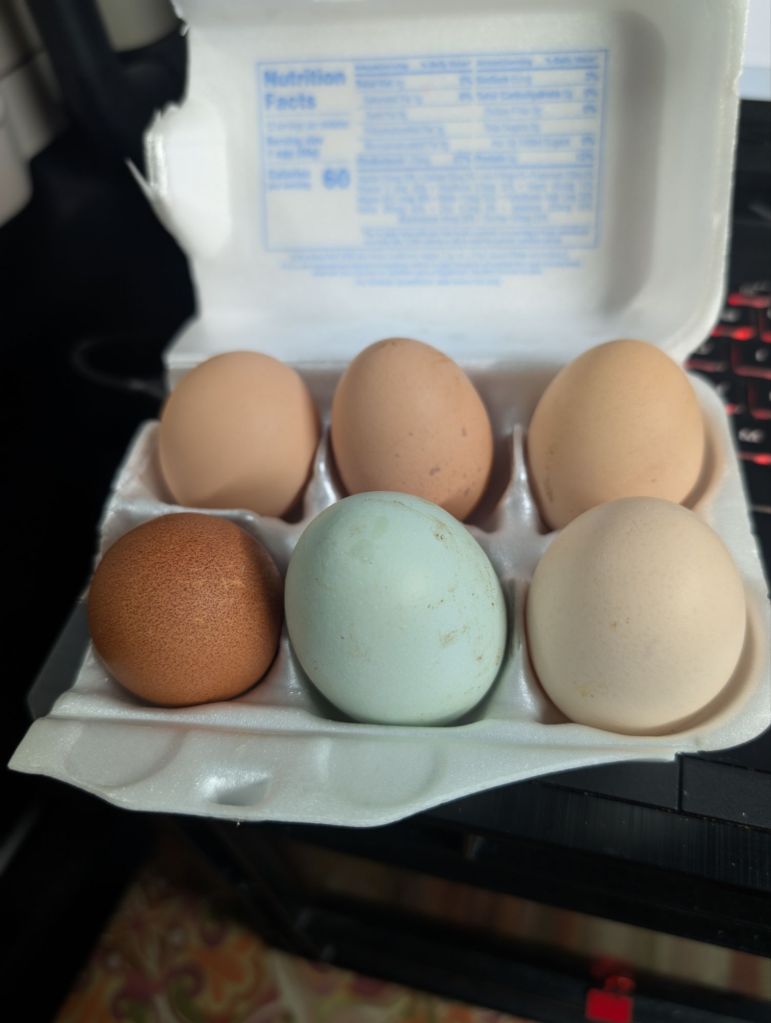 pxl_20250109_2251381757186952507868080755